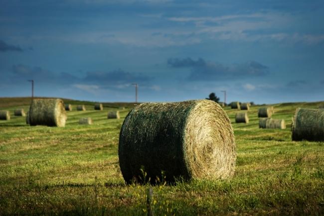 Rural Electric Grant Program